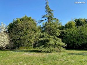 Terrain 500 m² Le Taillan Medoc