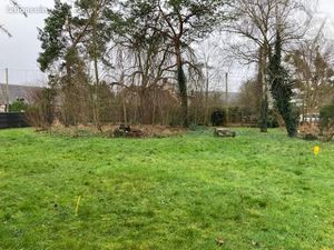 Terrain 1331 m² ST PIERRE DE MANNEVILLE