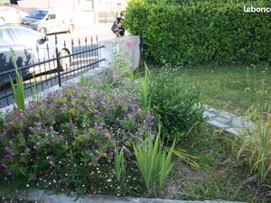 Location maison 4 chambres