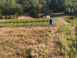 Location terrain jardin