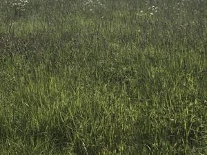 Terrain 770 m² Saint Cyr Des Gats