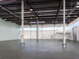 Local bureaux 1 004 m²