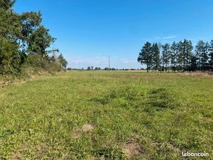 Terrain 3 000 m² Saint Remy En Rollat