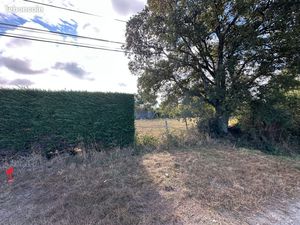 Terrain bâti 1 270 m² St Michel Chef Chef