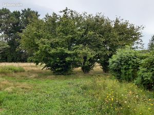 Terrain 600 m² Auros