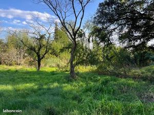 Terrain constructible