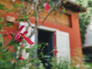 Cabinet de consultation