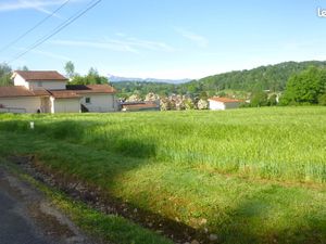 Terrain constructible