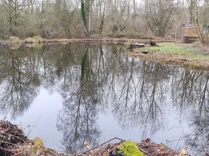 Location parcelle D'étang