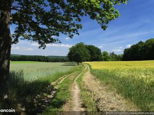 Terrain 554 m² Ahuille