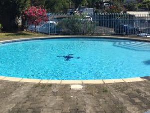 Joli T1 Bis-T2 dans résidence sécurisée avec piscine à Ste Clotilde