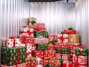 Box de Noël / Stockage d’Hiver