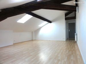 F1 28m2 proche Hôpital Central-place des Vosges