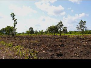 Terrain agricole 1 le m2