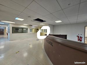 Local commercial 561 m²