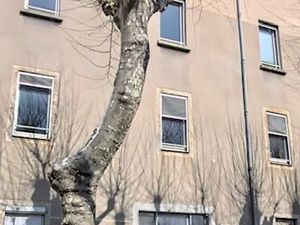 Location IMMEUBLE DE BUREAUX PROFESSIONNELS - 730 m² 12100 MILLAU