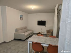 Location beau meublé calme de 45m² Gerland