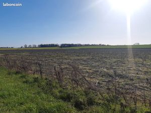 Terrain 446 m² Merville