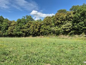 Terrain 540 m² Bollene