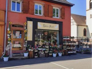 Fonds de commerce emplacement passant – 42 m² – Wingen-sur-Moder