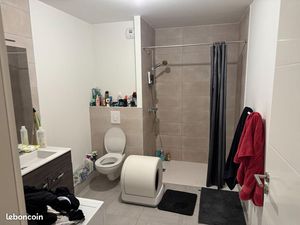 Appartement 2 pièces 41 m²