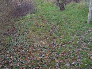 Verger non constructible