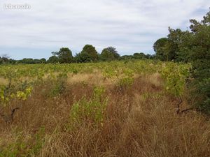 Vends terrain agricole