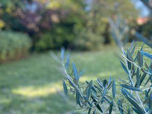 Terrain viabilise 59 000