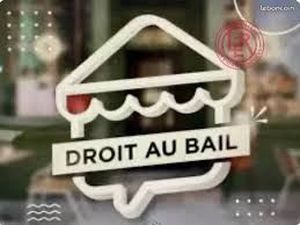 Droit au bail – local commercial – cours richard vitton