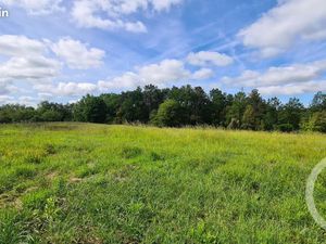 Terrain 3 020 m² Sarlat La Caneda