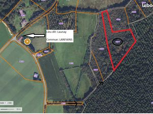 Bois Forêt parcelle boisée