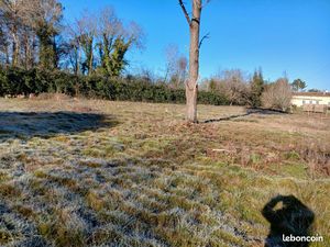 Terrain agricole 8000 m2