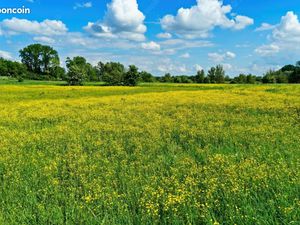 Terrain 363 m² Chavagne