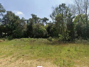 Terrain 658 m² SAINT HILAIRE DE RIEZ