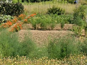 Terrain 320 m² Raizeux