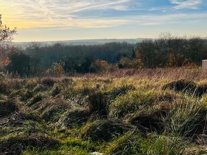 Terrain à bâtir- 1978 m² - Montigny s/ Vesle (51140) - Viabilisé - Libre de tout construct