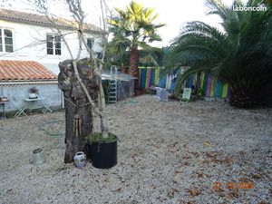 Location maison meublée