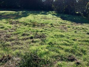 Terrain constructible Aussonne / Beauzelle