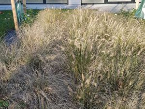 Bureaux en coworking