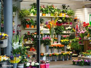 Local commercial 72 m²