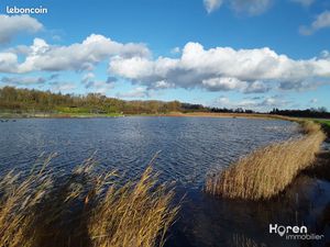 Terrain 15000 m² Quend