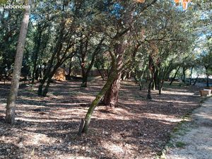 Terrain constructible à castries