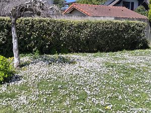 T4 avec 3 chambres - Réussir son entrée en Suisse