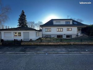 Ensemble immobilier à Schiltigheim 700 m²