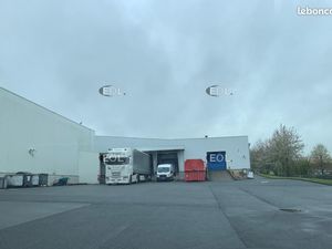 Local bureaux 6 993 m²