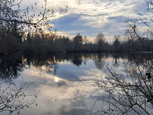 Terrain Sailly-Laurette