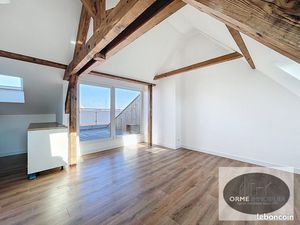 Loft 2 pièces 51 m²