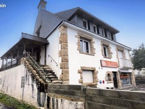 Immeuble 270 m² PLUVIGNER
