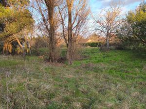 Rare sur le secteur – Terrain constructible arboré avec accès direct aux réseaux