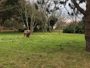 Terrain constructible